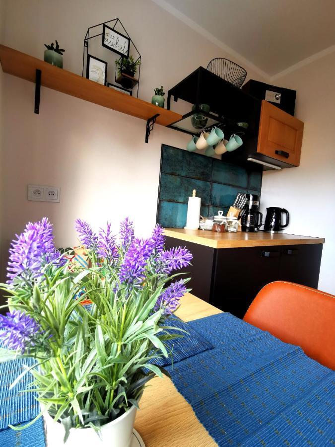 Apartament Na Wzgorzu يلينيا غورا المظهر الخارجي الصورة